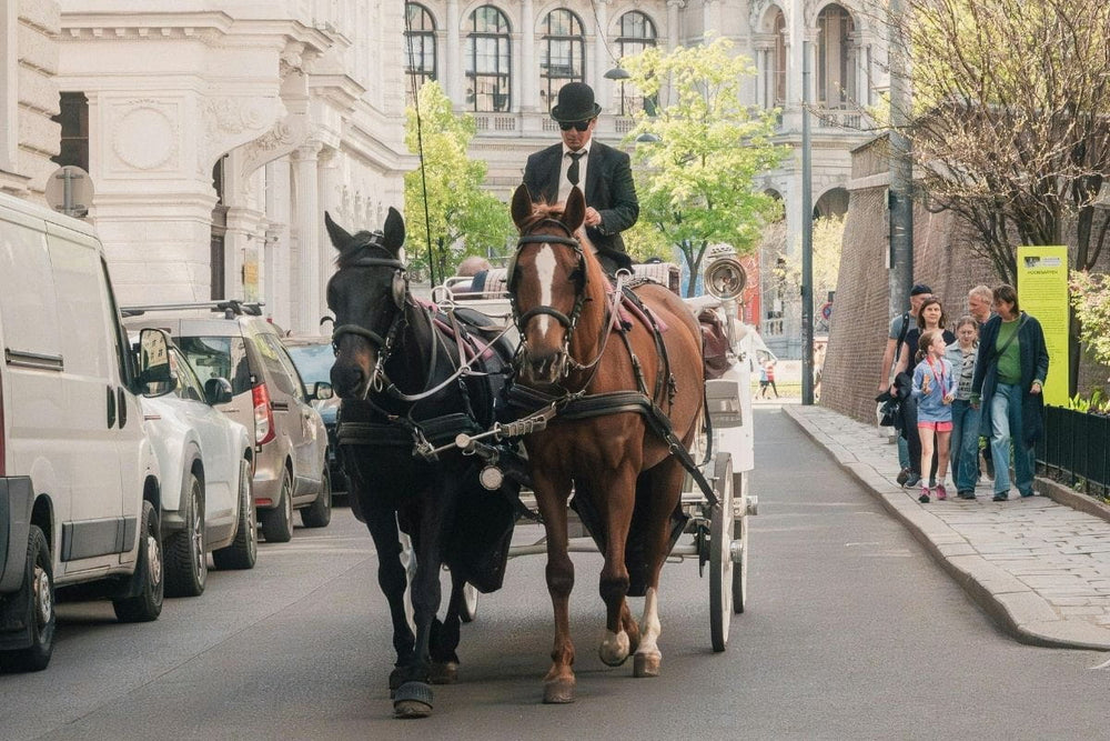 Ein Wiener Fiaker mit Pferdekutsche vor der Innenstadt-Kulisse