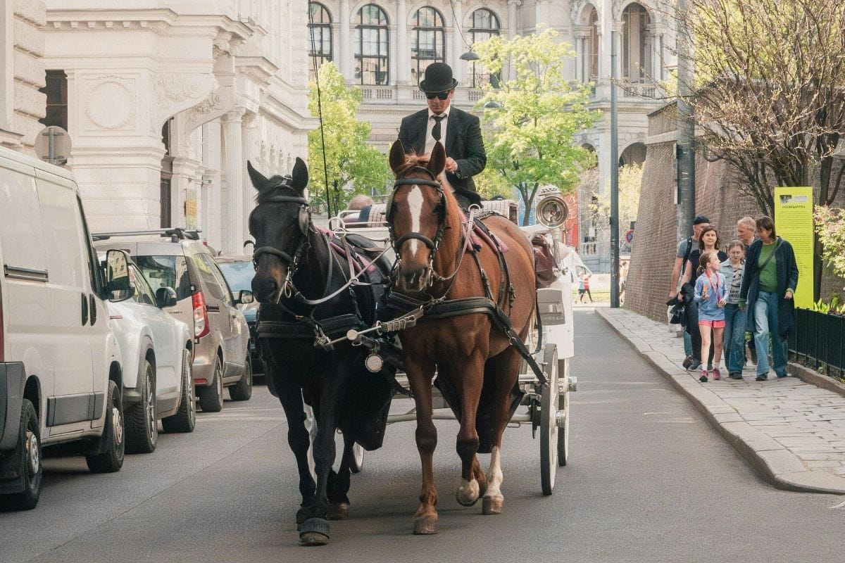 Ein Wiener Fiaker mit Pferdekutsche vor der Innenstadt-Kulisse