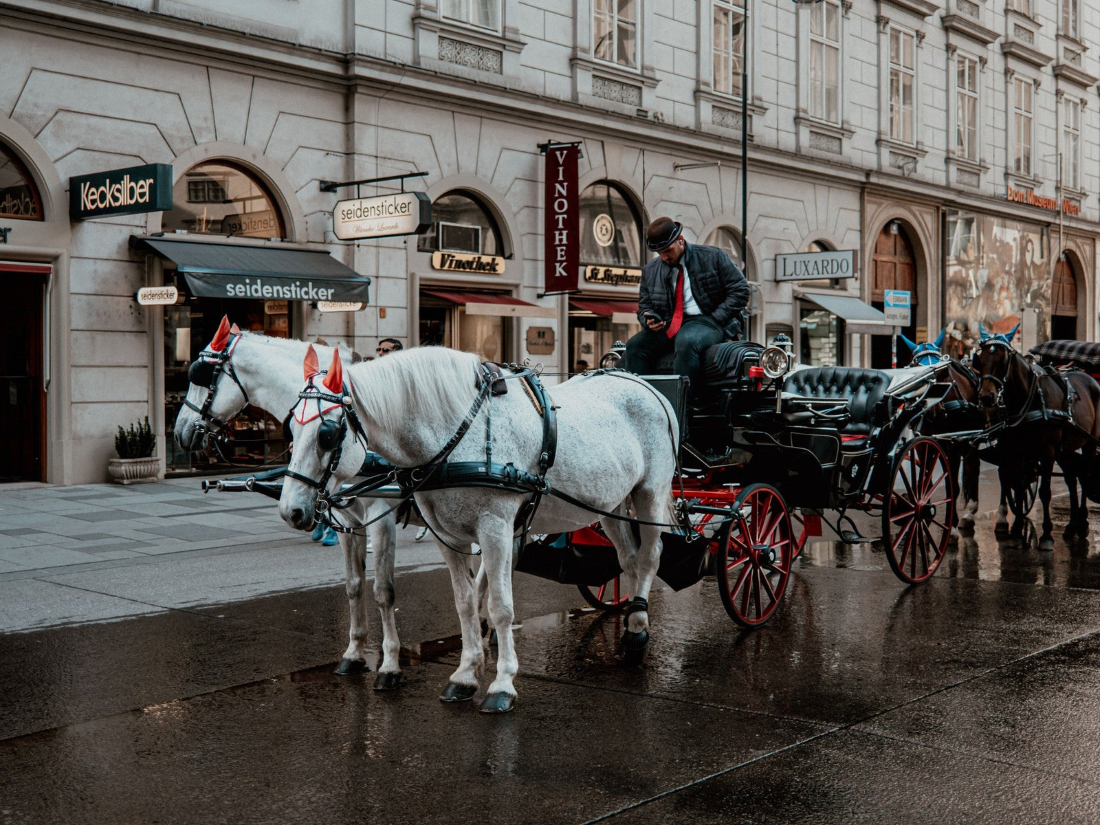 Pferdekutsche mit Fiaker in einer Wiener Innenstadtstraße