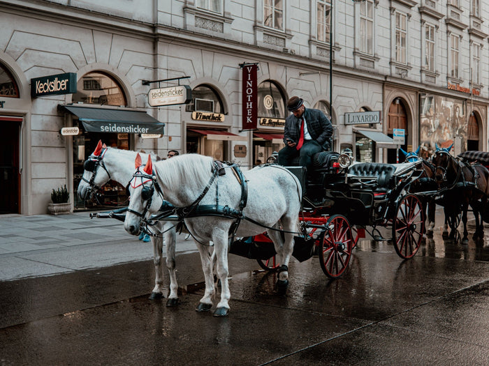 Pferdekutsche mit Fiaker in einer Wiener Innenstadtstraße